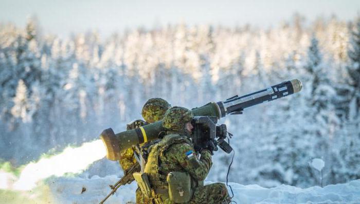 Viron armeija: kuva, voima ja aseistus