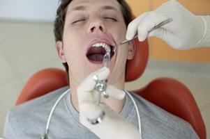 Hampaan rakenne: anatomiset hienovaraisuudet liittyvät suoritettavaan tehtävään